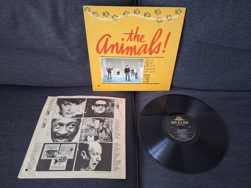 The animals animal - animals!,