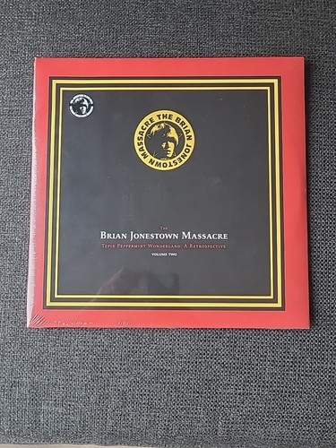 Brian jonestown massacre - brian,